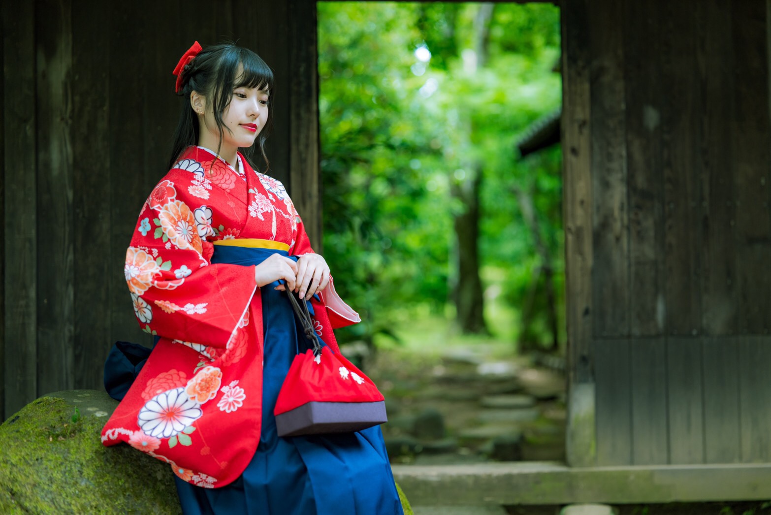 初夏の風