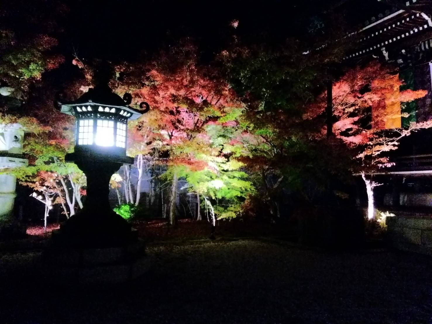 着物で紅葉ライトアップいかがですか？(^^)