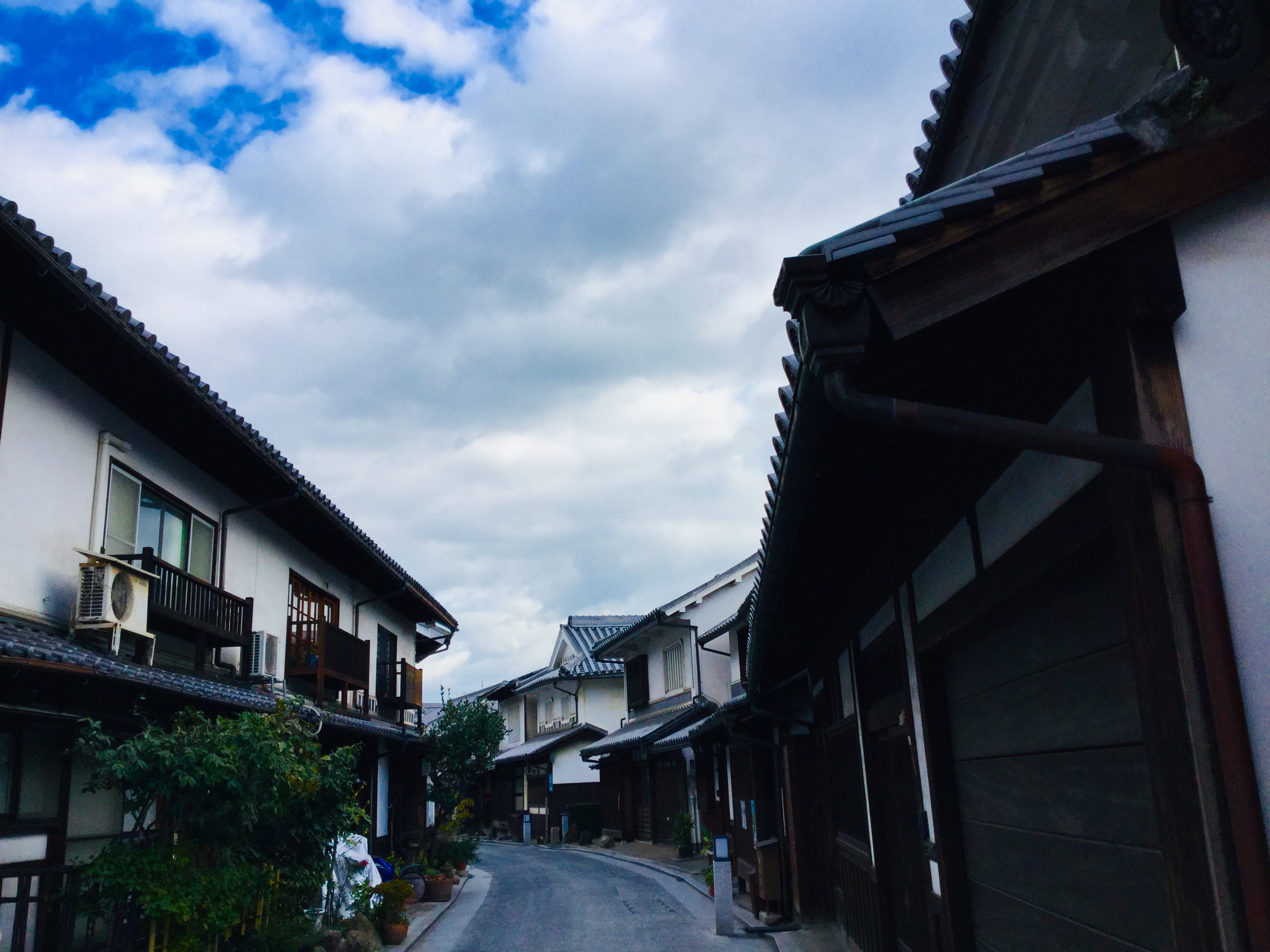 紅葉がきれいな季節です。