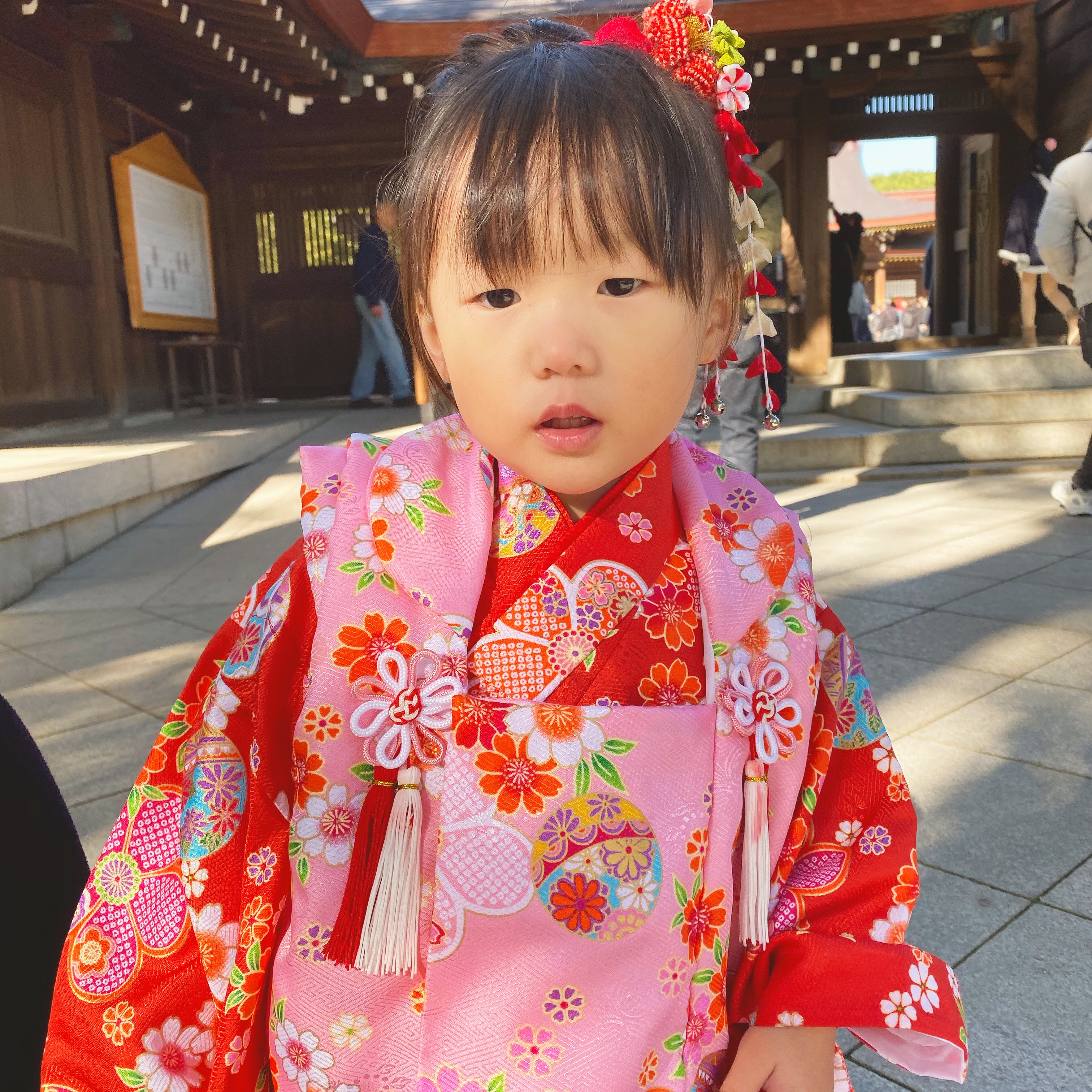 着物は暖かい寒い時こそ着物です