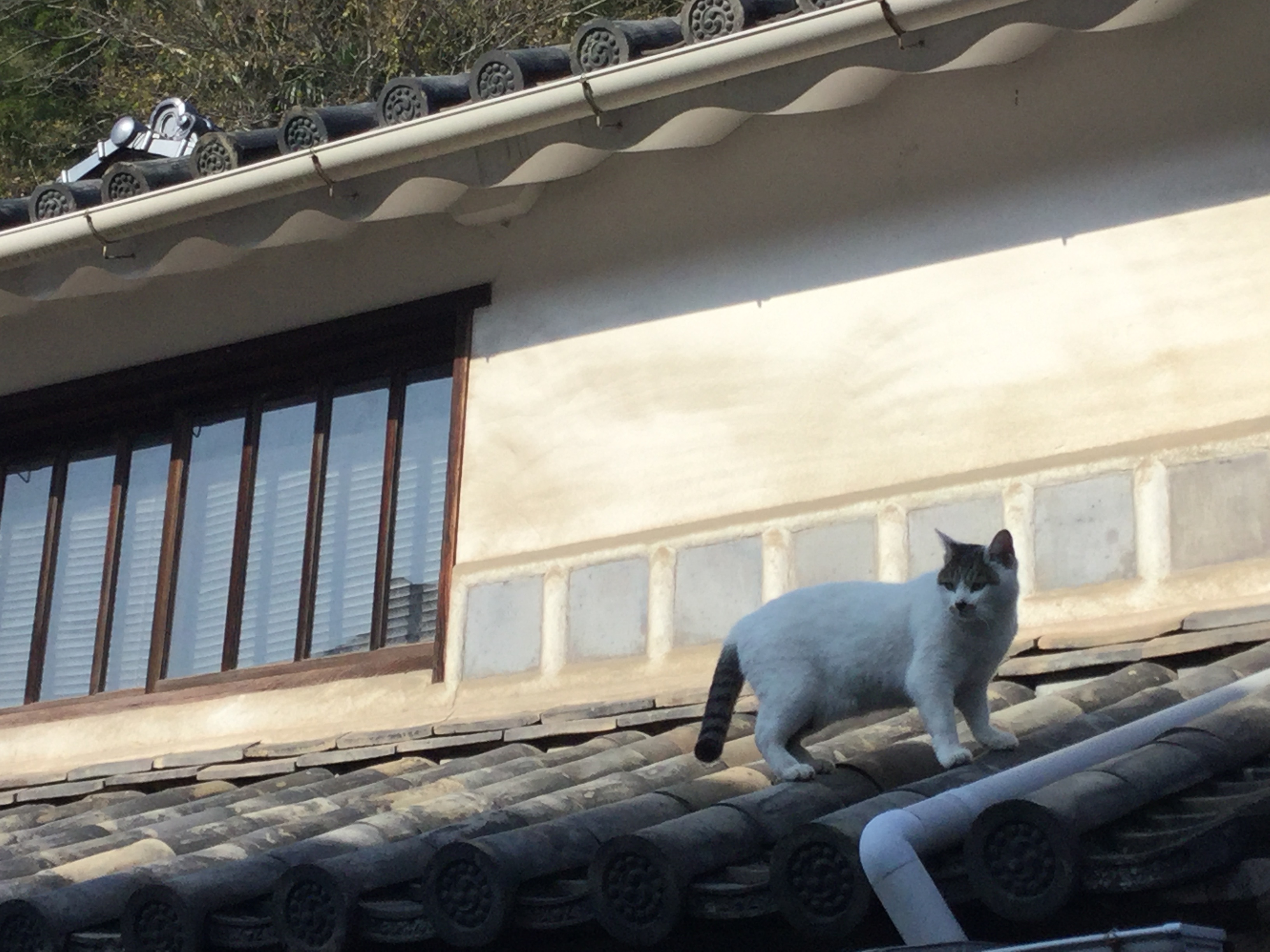 レトロな街　倉敷！！！