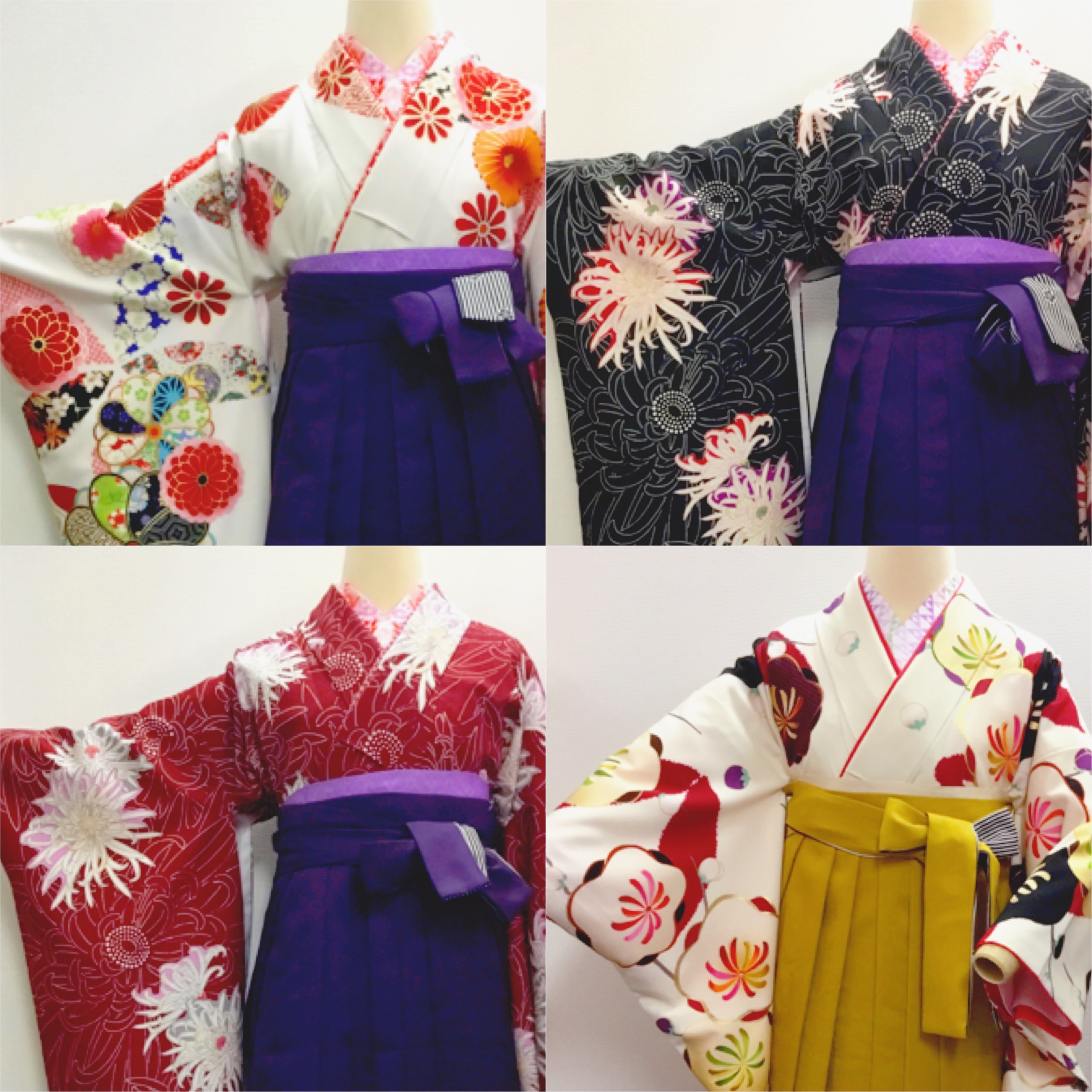 <新宿店限定 >プレミアム袴 人気です！