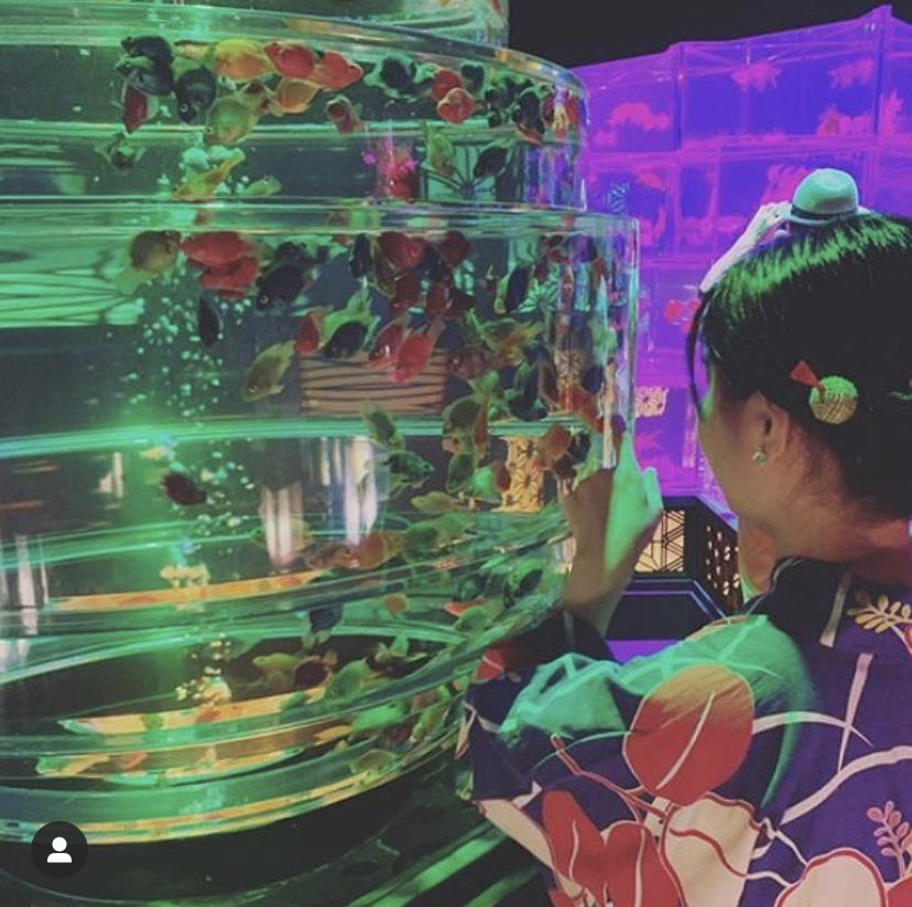 アートアクアリウム^_^