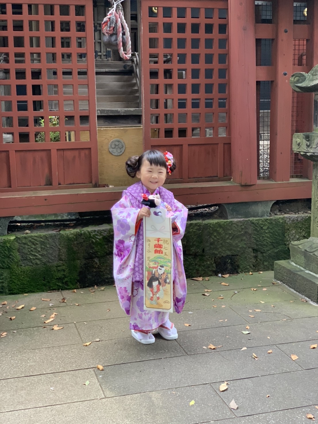 ロケプラン人気です！