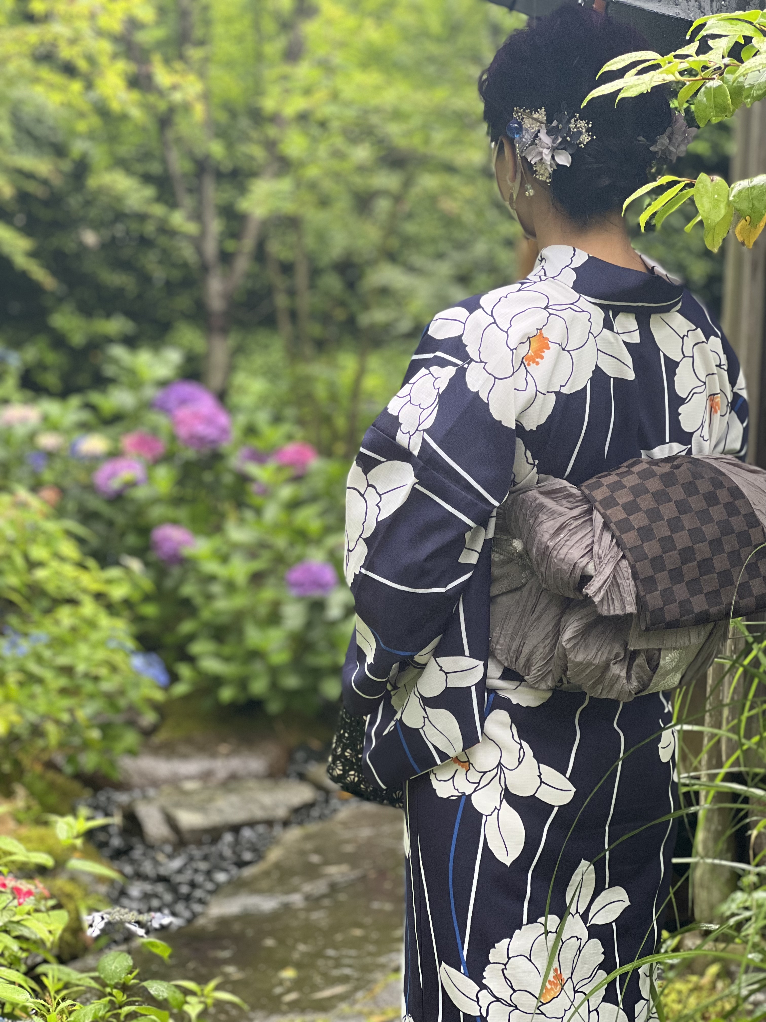 紫陽花