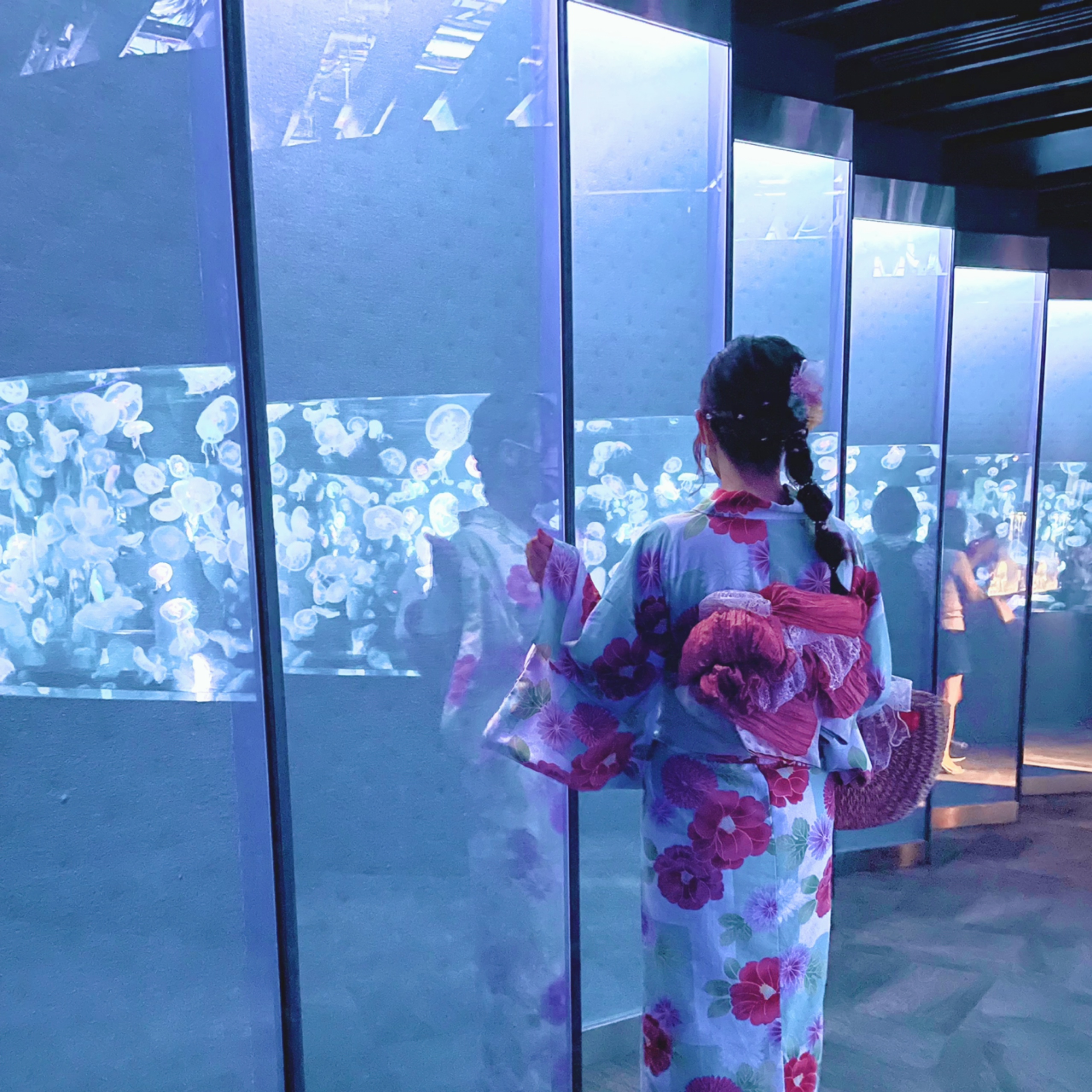 ⚘⚘ 京都水族館 ⚘⚘