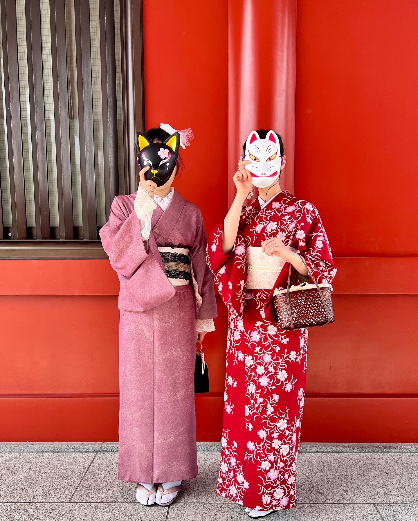 本日散策日和ですよ。