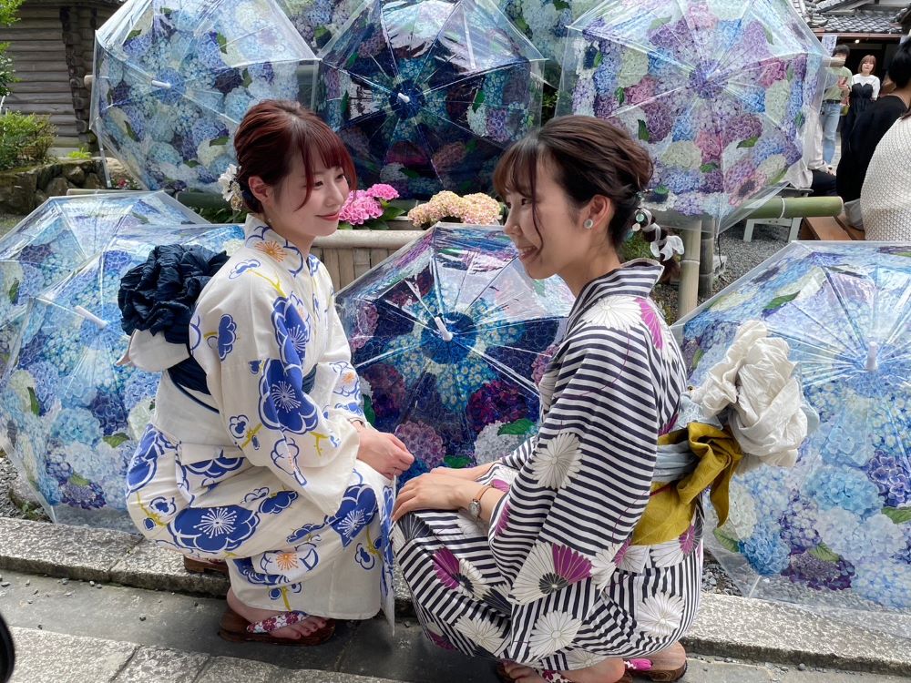 京都 ❀ あじさい園公開とライトアップ