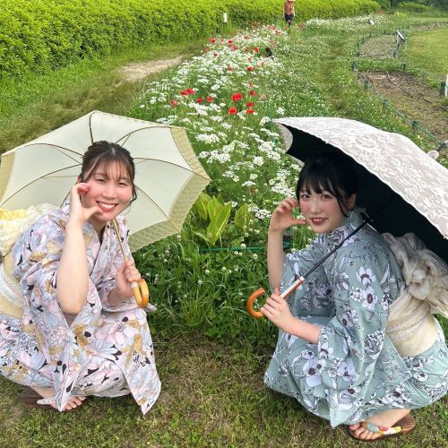 京都 ⚘⚘ 桔梗を愛でる特別拝観 東福寺天徳院　6/28～7/17