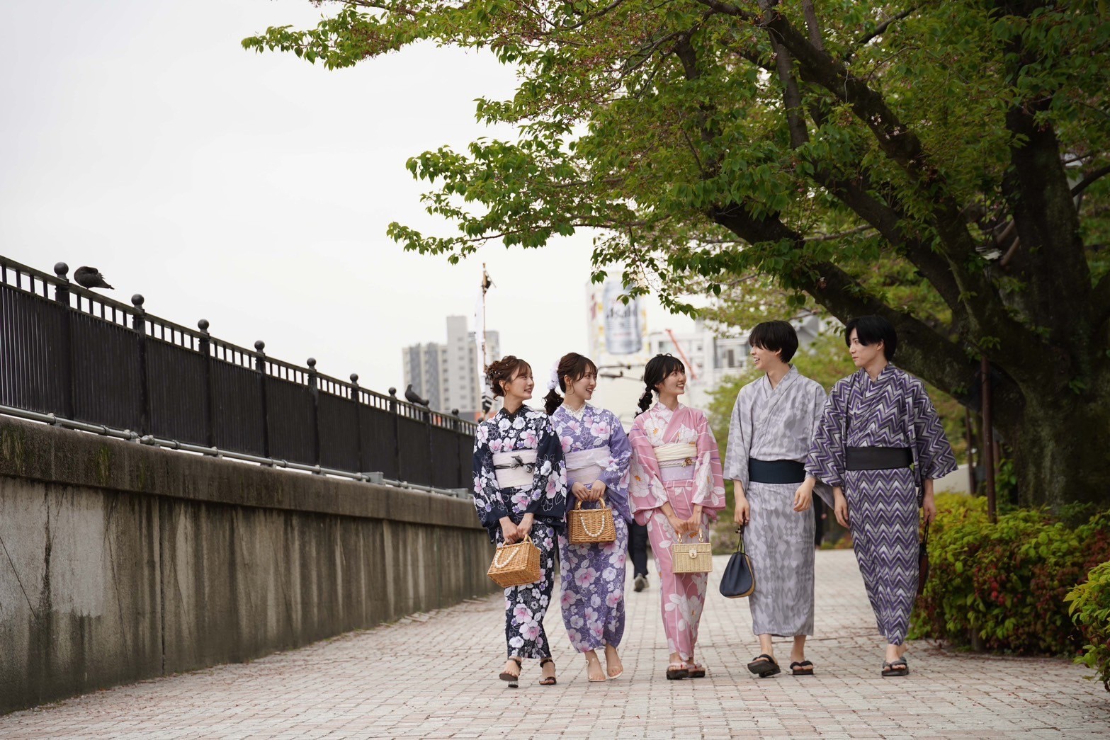 京都 ⚘⚘ 旧三井家下鴨別邸 夏の夜間開館　7/19～7/21・7/26～7/28